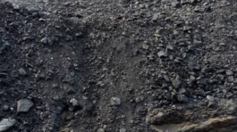 WhatsApp Image 2025-09-11 at 18.33.42_aeb80a29