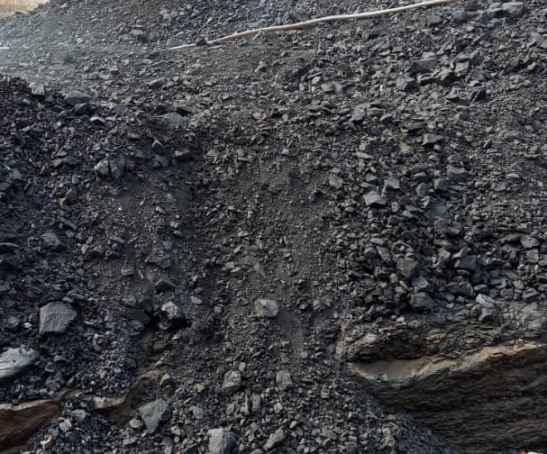 WhatsApp Image 2025-09-11 at 18.33.42_aeb80a29